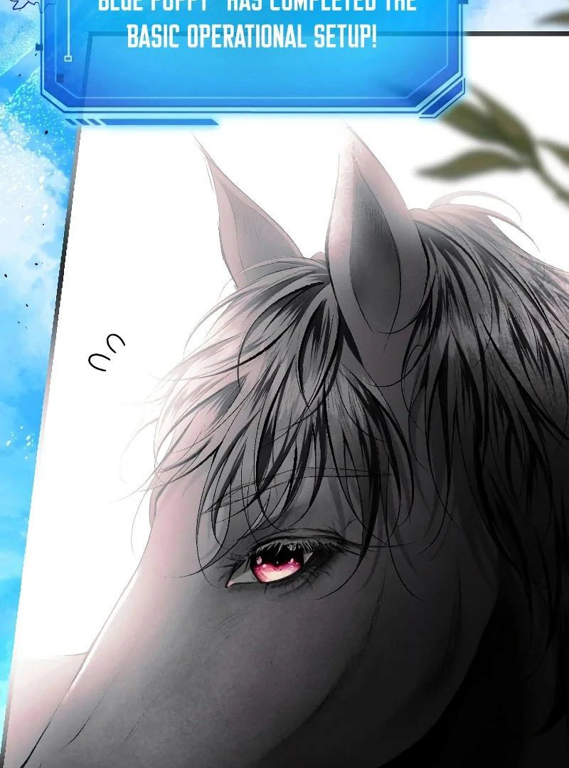 74288269 800 1080 103726